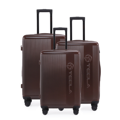 Tesla Kingston Luggage